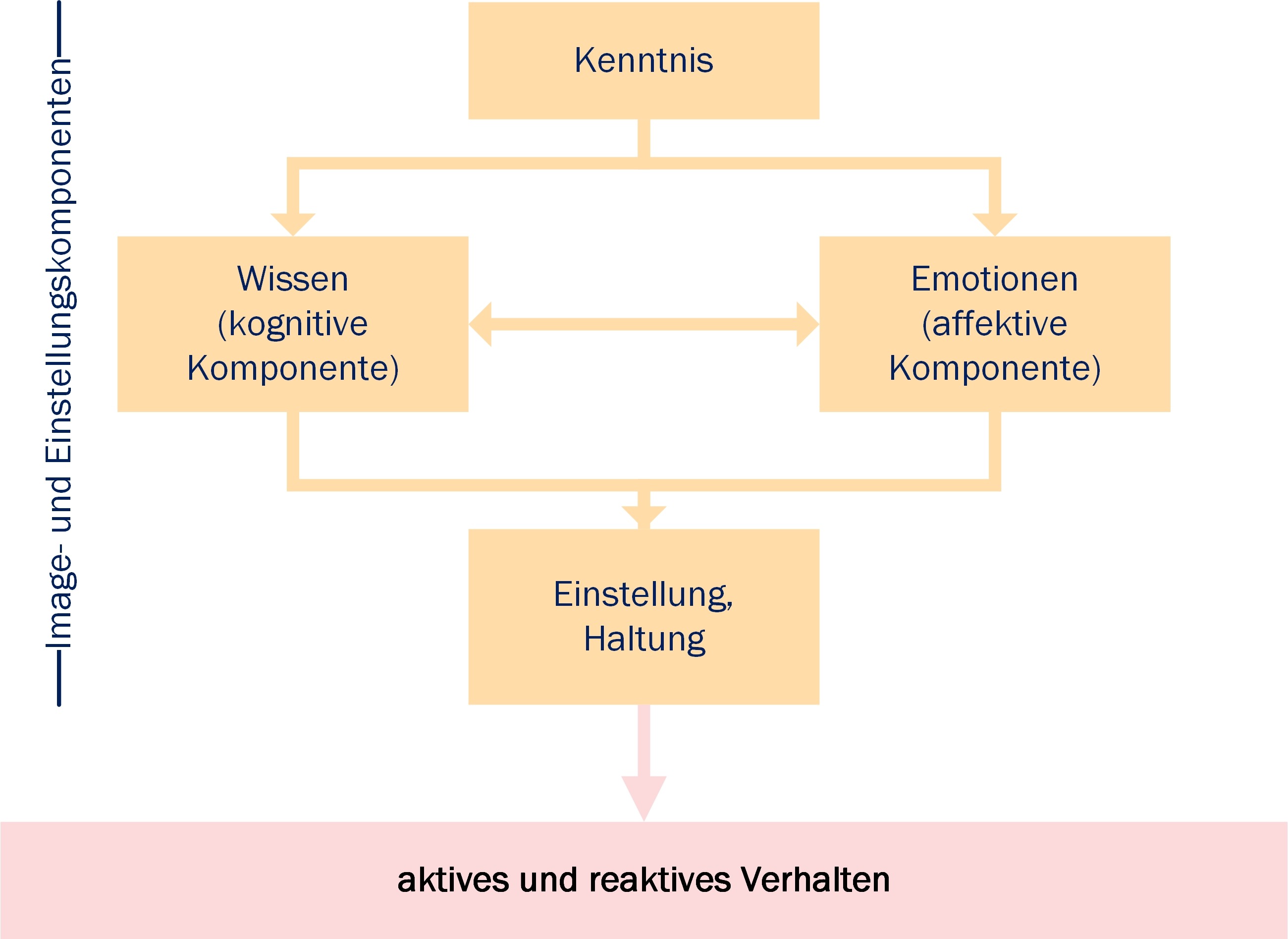 Abbildung 1: Einstellungskomponenten und Handlung