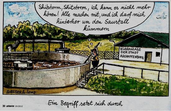 Shitstorm-Schema